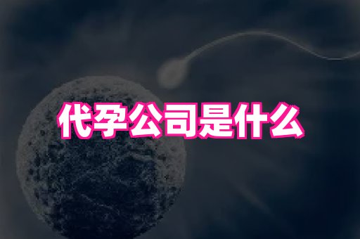福建助孕网站 2