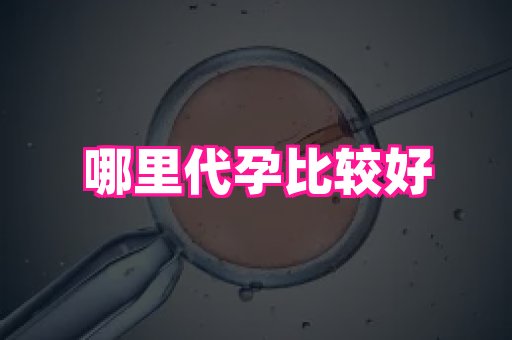 福建助孕网站 3